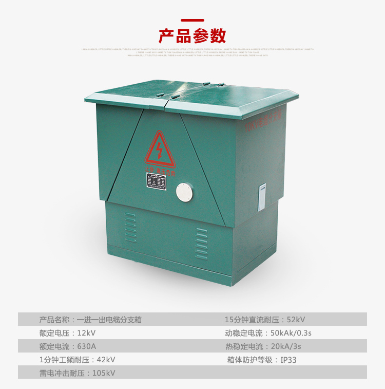 10KV電纜分支箱詳情