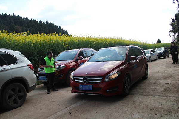 植樹節(jié)活動